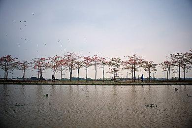 《彩虹六号：围攻》与《街头霸王6》联动包现已上线